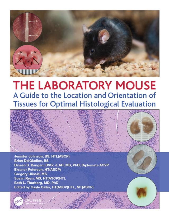 The Laboratory Mouse by Beth Thurberg, Brian DelGiudice, Dinesh Bangari, Eleanor Peterson, Gregory Ulinski, Jennifer Johnson, Susan Ryan