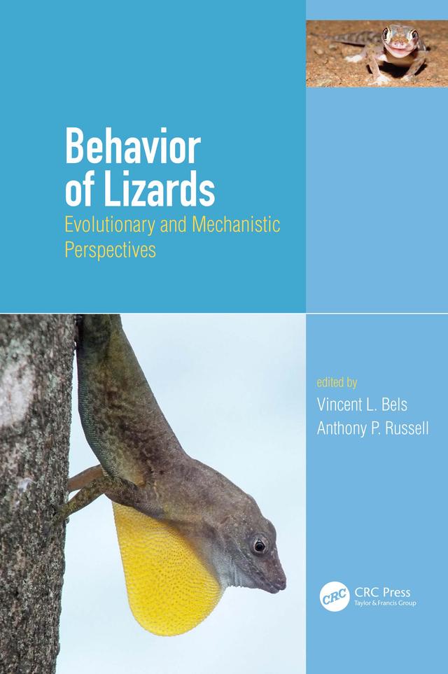 Behavior of Lizards by Anthony Russell, Vincent Bels
