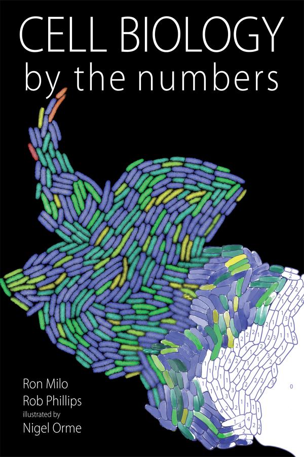 Cell Biology by the Numbers by Rob Phillips, Ron Milo