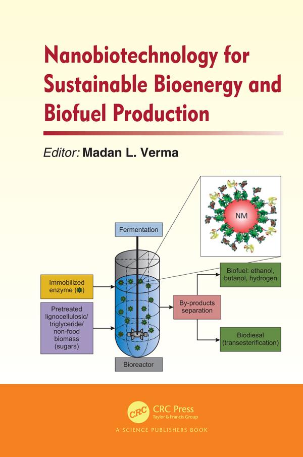 Nanobiotechnology for Sustainable Bioenergy and Biofuel Production by Madan L. Verma