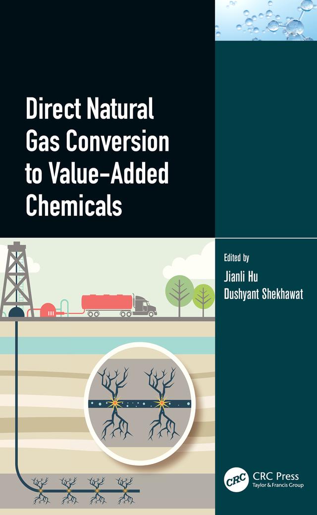Direct Natural Gas Conversion to Value-Added Chemicals by Dushyant Shekhawat, Jianli Hu