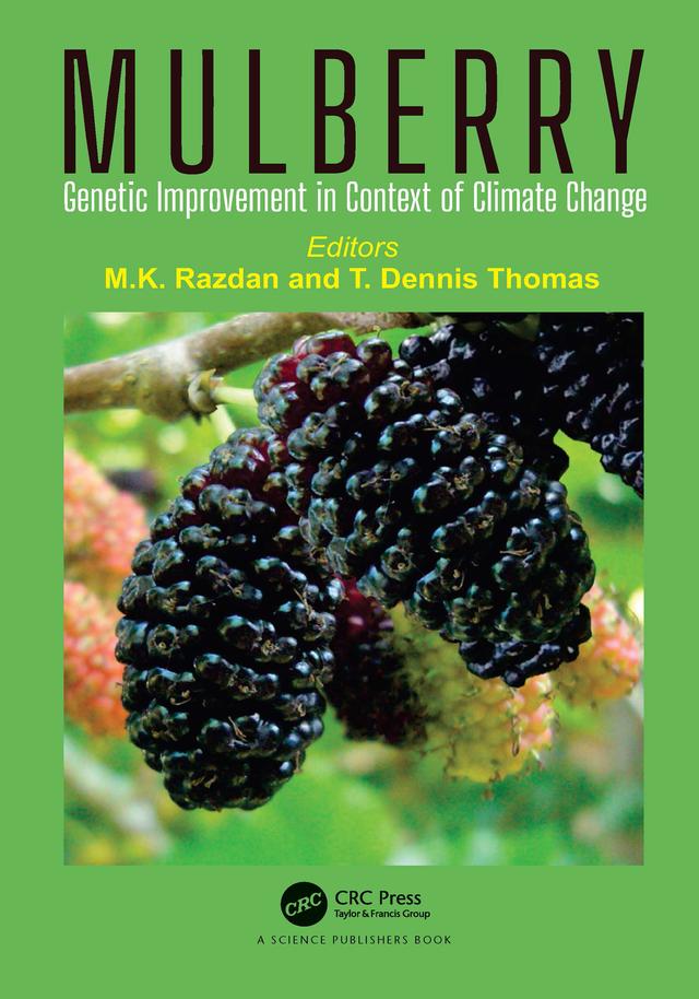 Mulberry by Dennis Thomas, Maharaj Krishen Razdan
