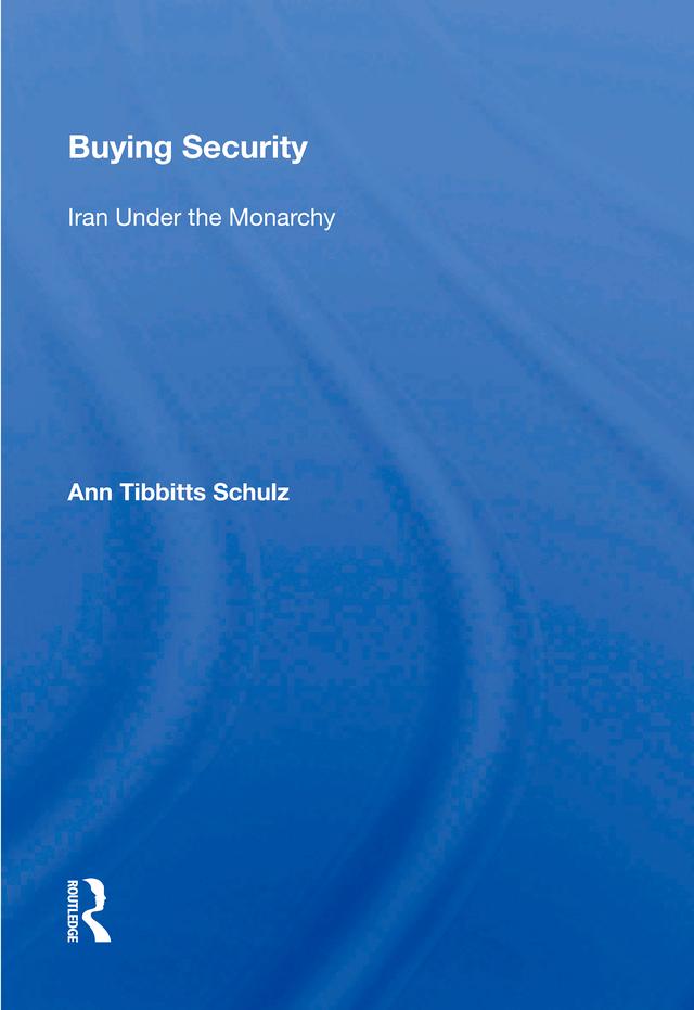 Buying Security by Ann Tibbitts Schulz