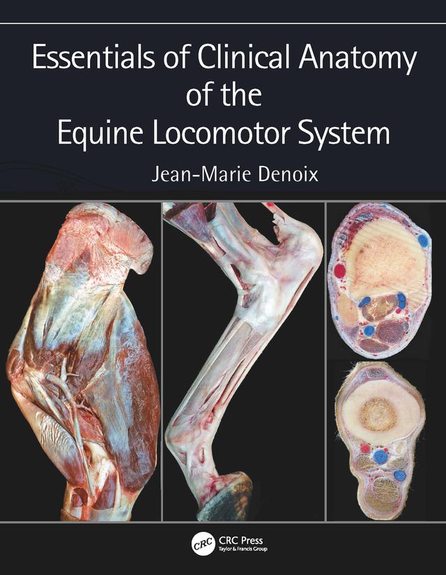 Essentials of Clinical Anatomy of the Equine Locomotor System by Jean-Marie Denoix