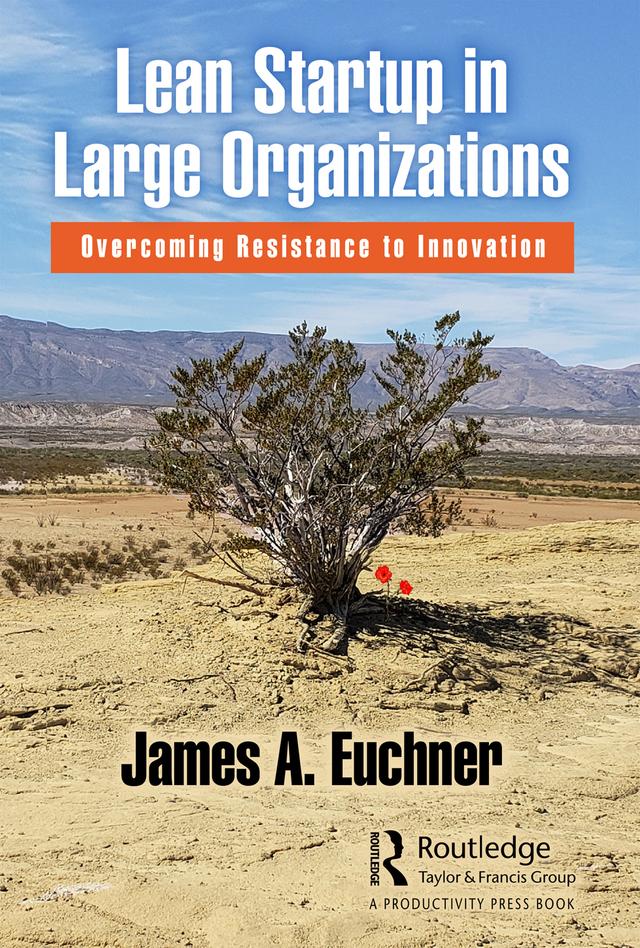 Lean Startup in Large Organizations by James A. Euchner