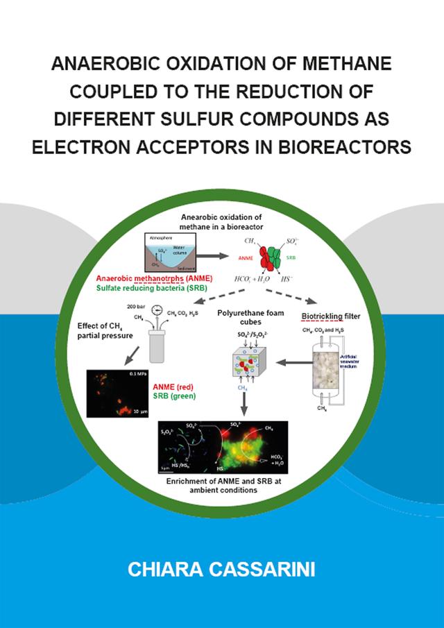 Anaerobic Oxidation of Methane Coupled to the Reduction of Different Sulfur Compounds as Electron Acceptors in Bioreactors by Chiara Cassarini