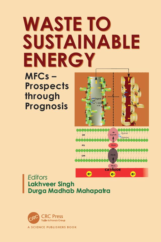 Waste to Sustainable Energy by Durga Madhab Mahapatra, Lakhveer Singh