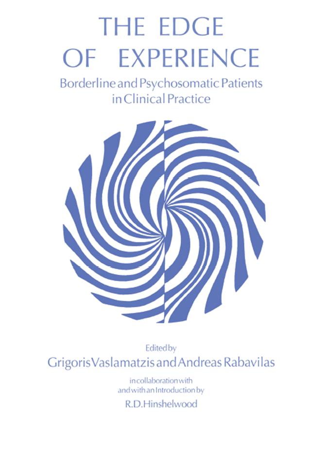 The Edge of Experience by Andreas Rabavilas, Grigoris Vaslamatzis