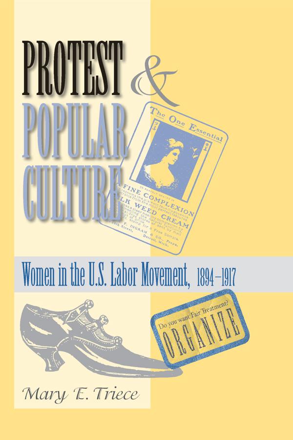 Protest And Popular Culture by Mary Triece