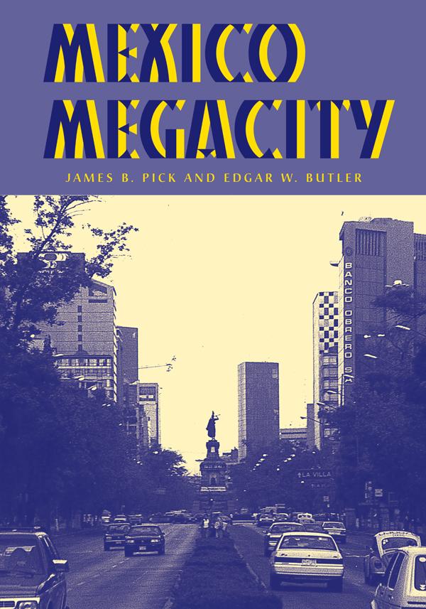 Mexico Megacity by James B Pick