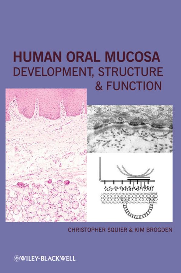 Human Oral Mucosa by Christopher Squier, Kim Brogden