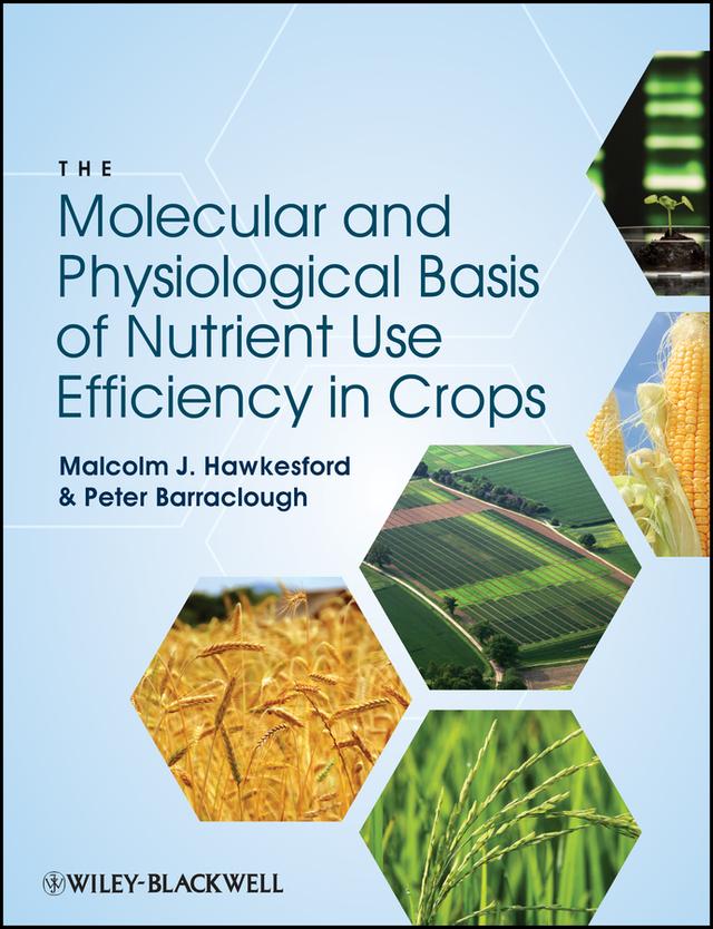 The Molecular and Physiological Basis of Nutrient Use Efficiency in Crops by Malcolm J. Hawkesford, Peter Barraclough
