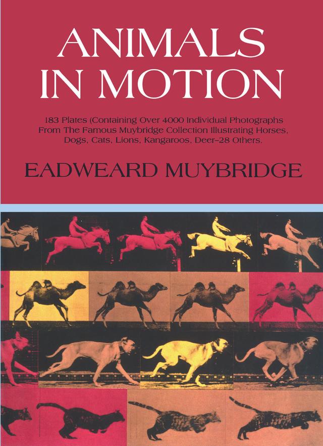 Animals in Motion by Eadweard Muybridge