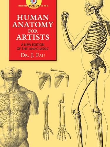Human Anatomy for Artists by J. Fau