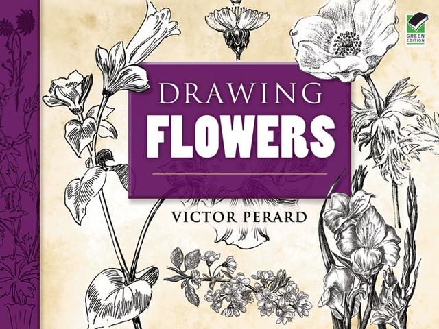 Drawing Flowers by Victor Perard