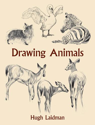 Drawing Animals by Hugh Laidman