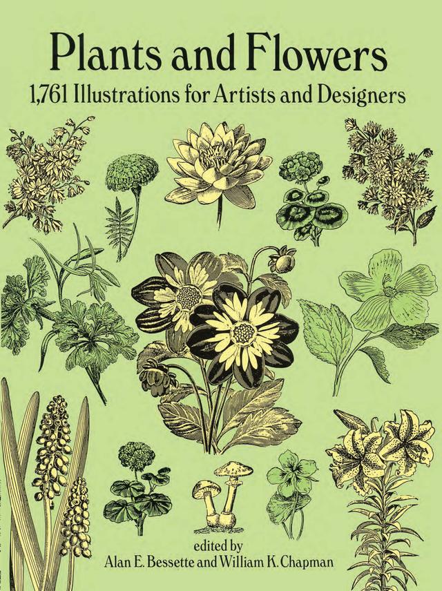 Plants and Flowers by Alan E. Bessette, William K. Chapman