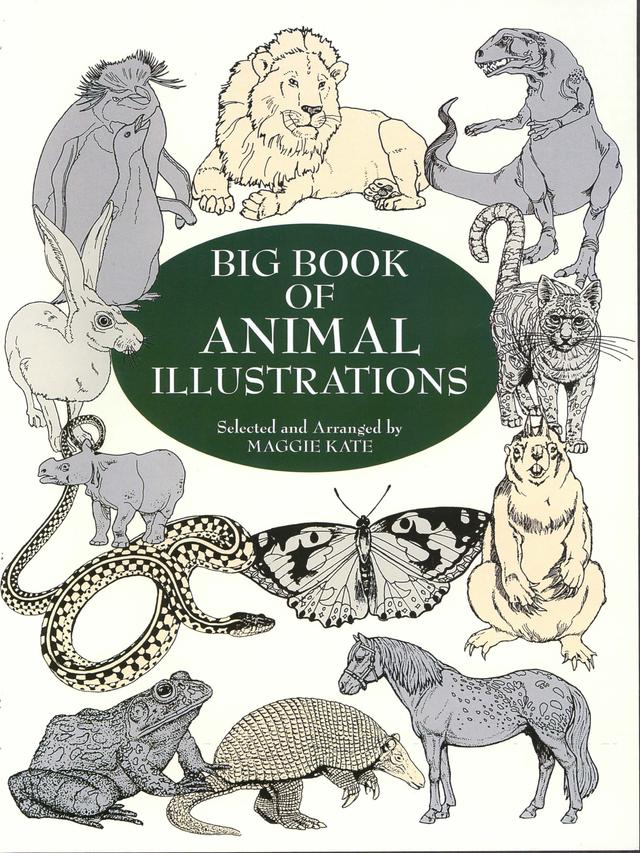 Big Book of Animal Illustrations by Maggie Kate