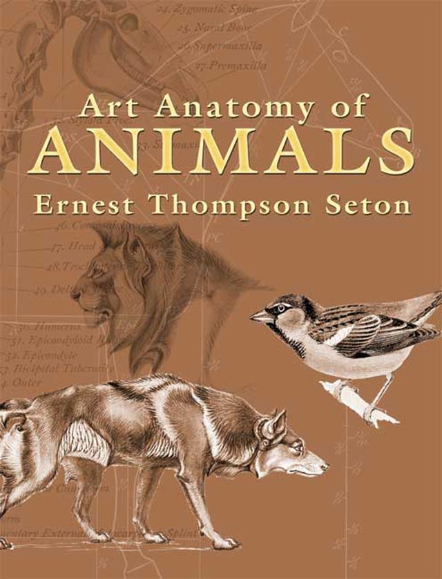 Art Anatomy of Animals by Ernest Thompson Seton