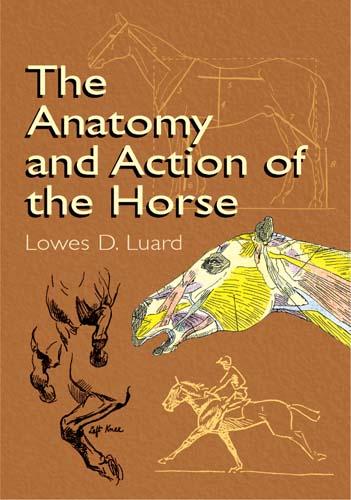 The Anatomy and Action of the Horse by Lowes D. Luard