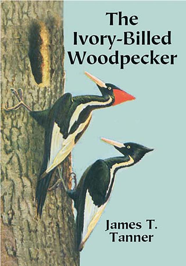 The Ivory-Billed Woodpecker by James T. Tanner