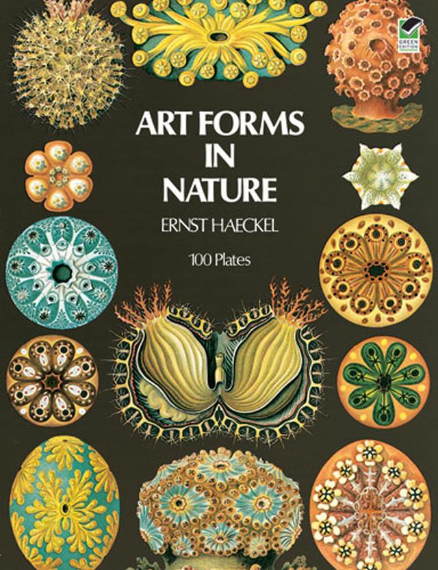 Art Forms in Nature by Ernst Haeckel