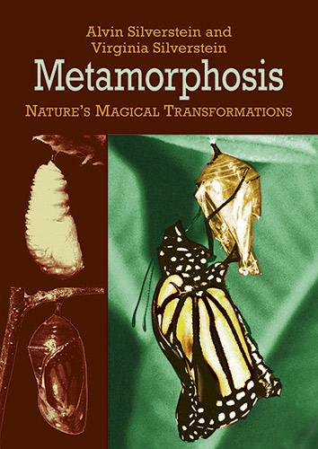Metamorphosis by Alvin Silverstein, Virginia Silverstein