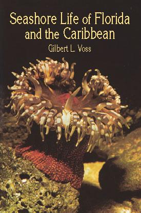 Seashore Life of Florida and the Caribbean by Gilbert L. Voss