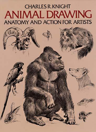 Animal Drawing by Charles Knight