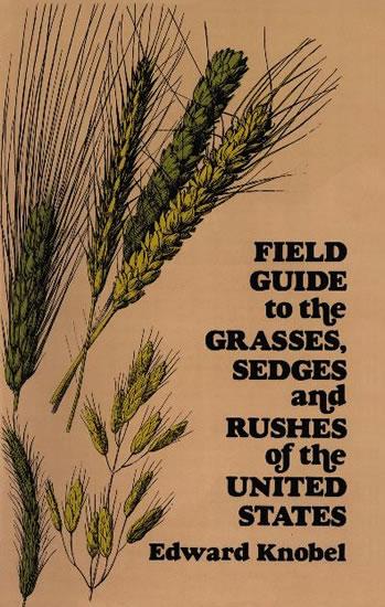 Field Guide to the Grasses, Sedges, and Rushes of the United States by Edward Knobel