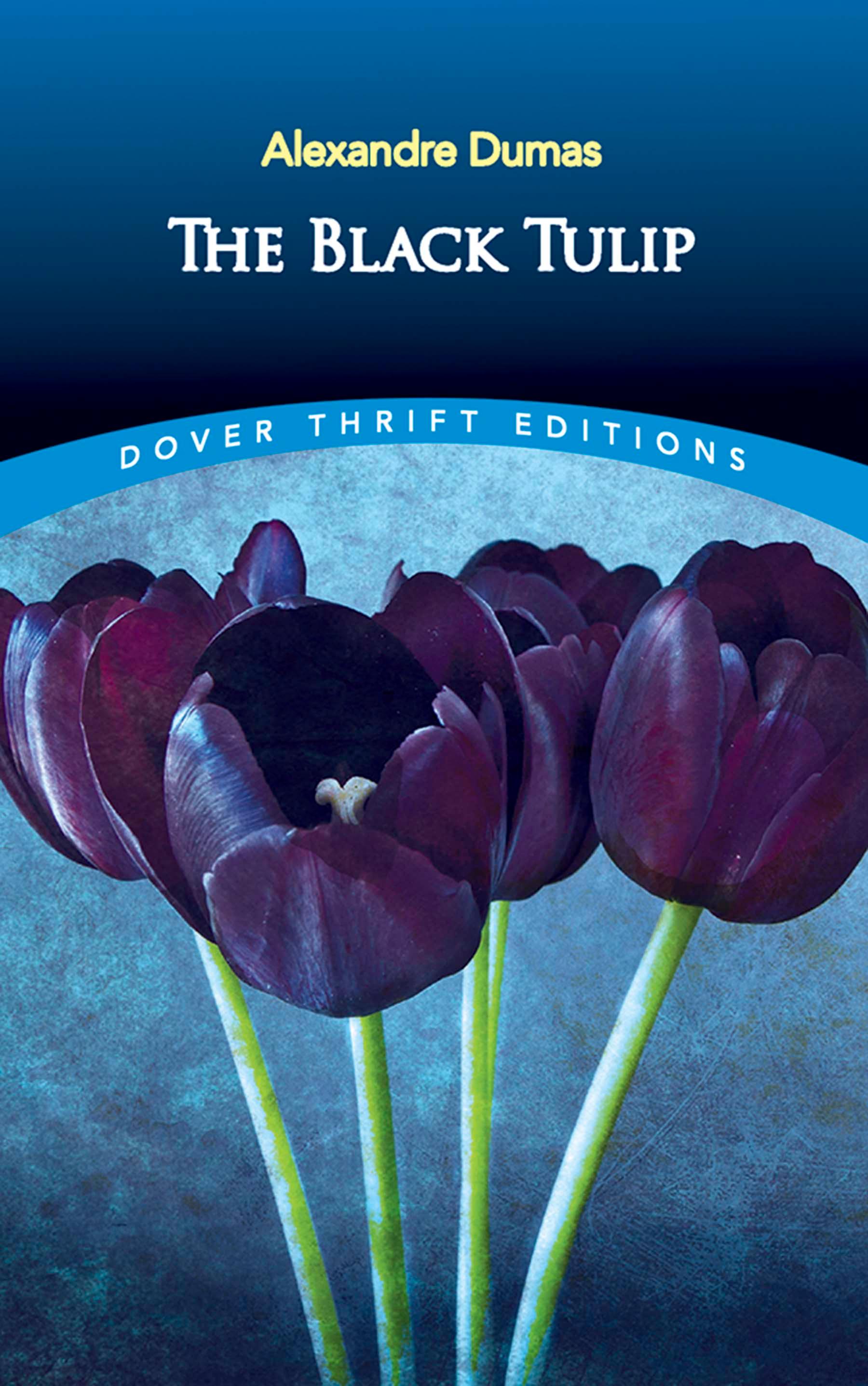 The Black Tulip