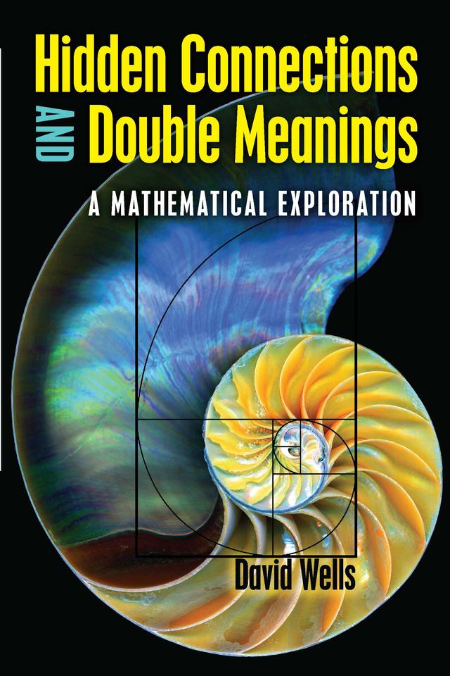 Hidden Connections and Double Meanings by David Wells