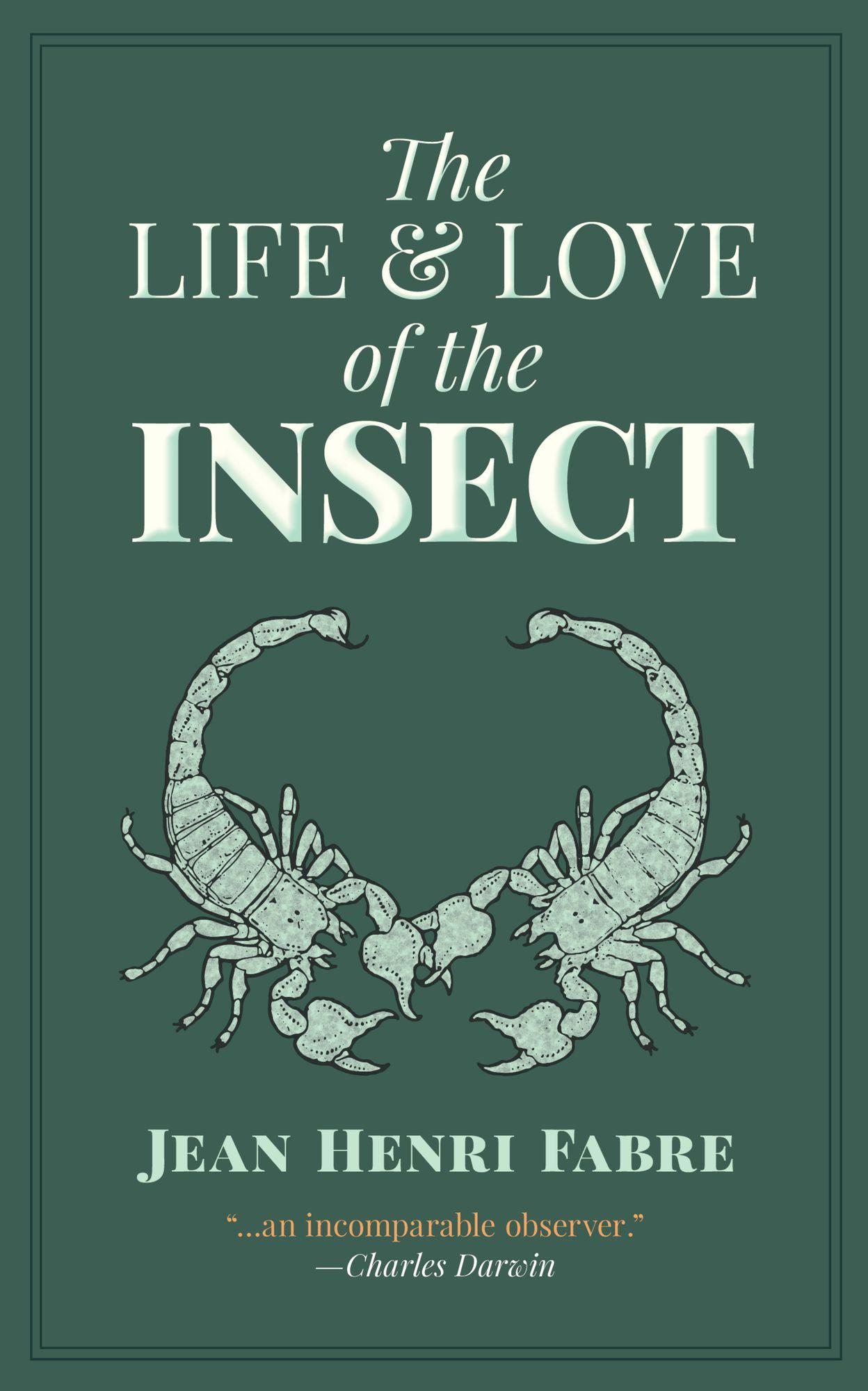 The Life and Love of the Insect