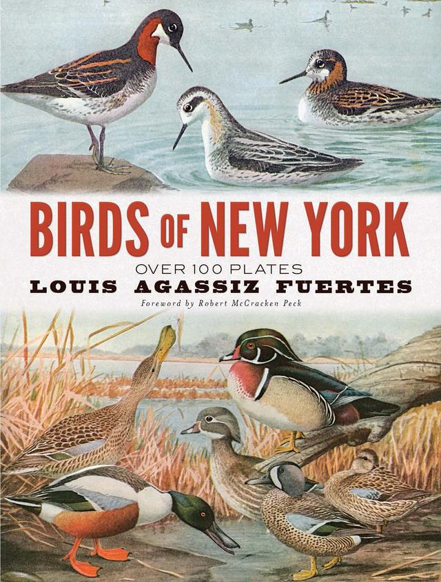 Birds of New York by Louis Agassiz Fuertes, Robert McCracken Peck
