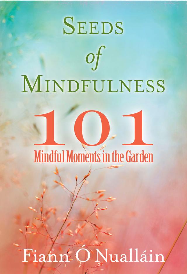 Seeds of Mindfulness by Fiann O'Nuallain