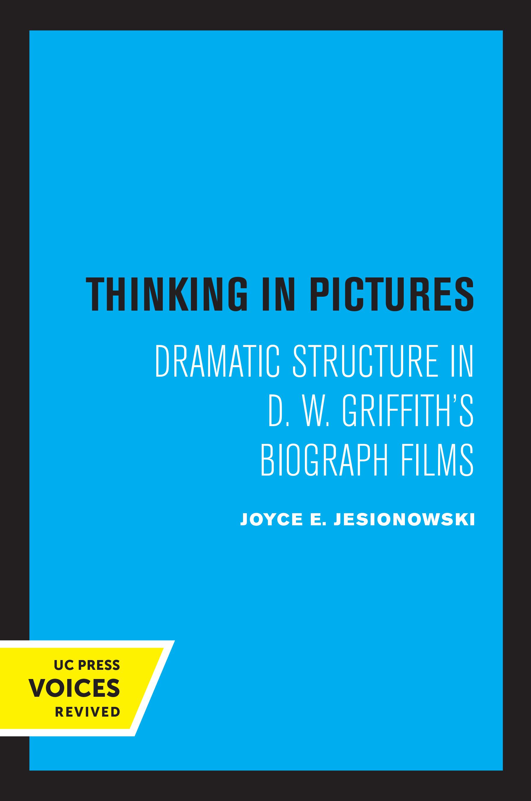 Thinking in Pictures