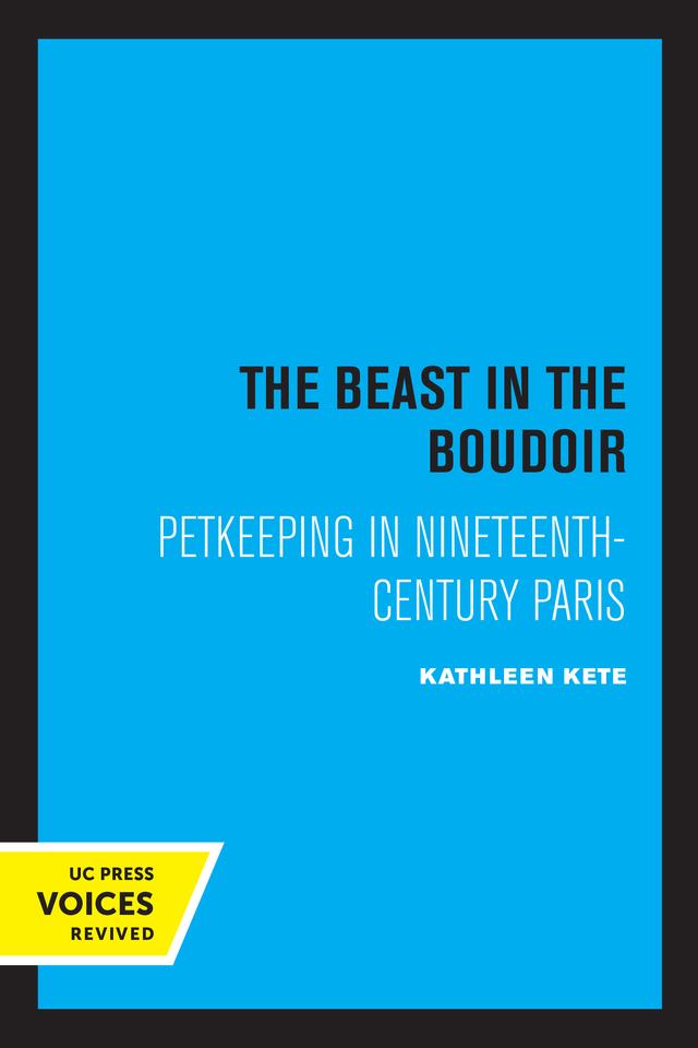 The Beast in the Boudoir by Kathleen Kete