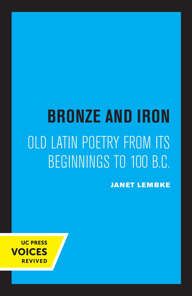 Bronze and Iron by Janet Lembke