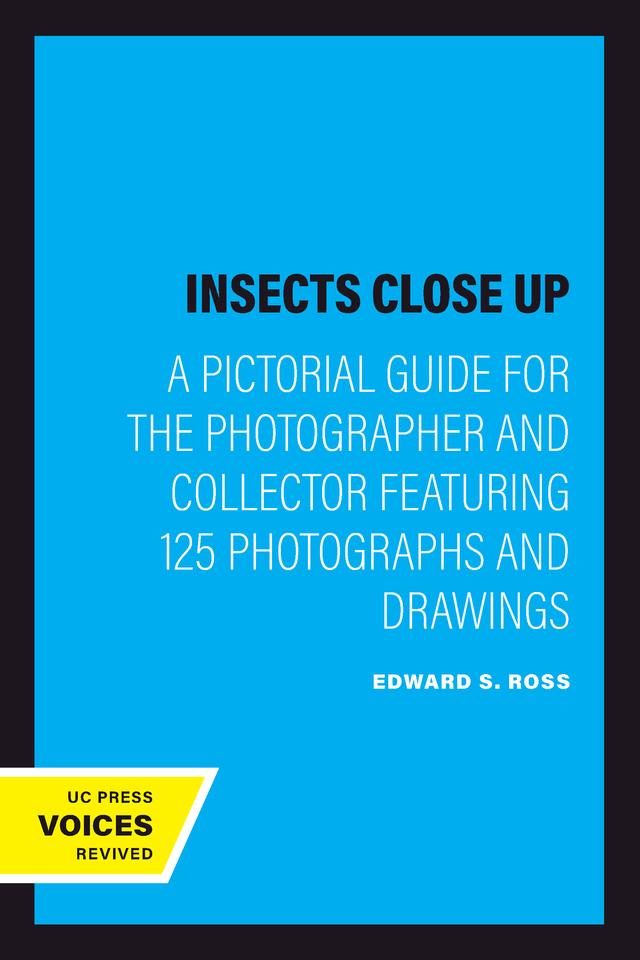 Insects Close Up by Edward S. Ross