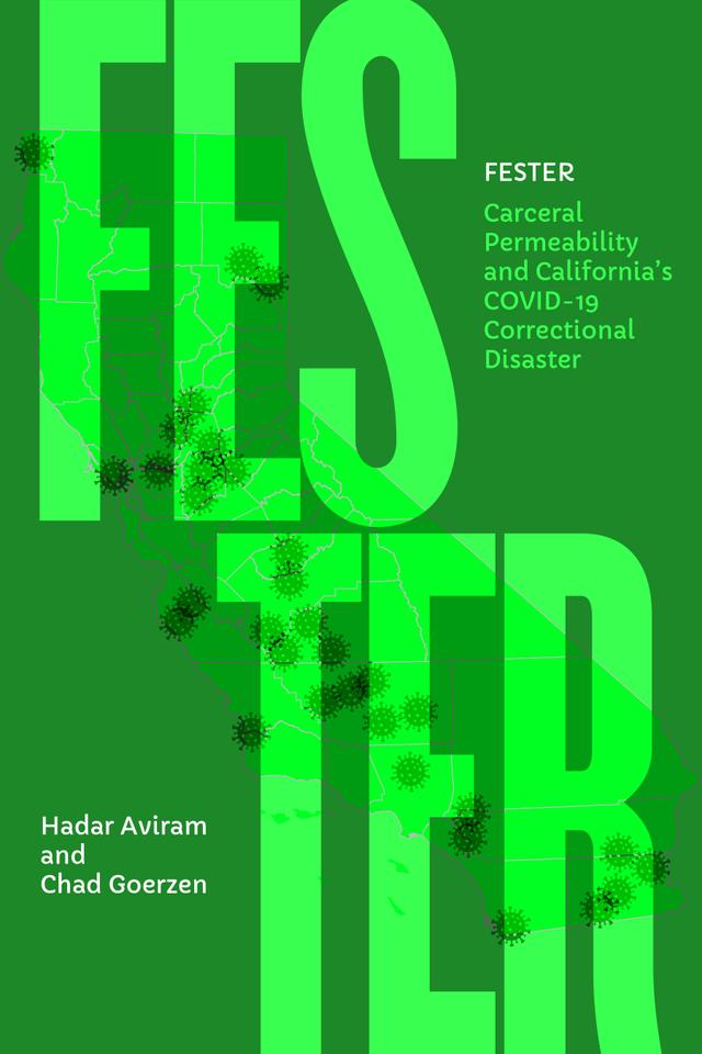 Fester by Hadar Aviram