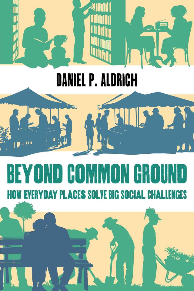 Beyond Common Ground by Daniel P. Aldrich