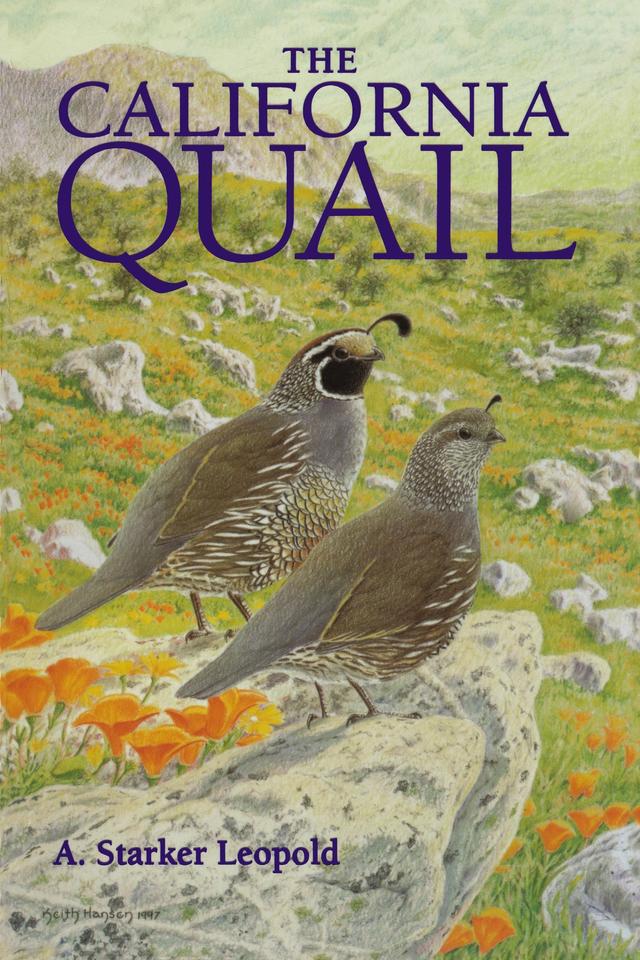 The California Quail by A. Starker Leopold