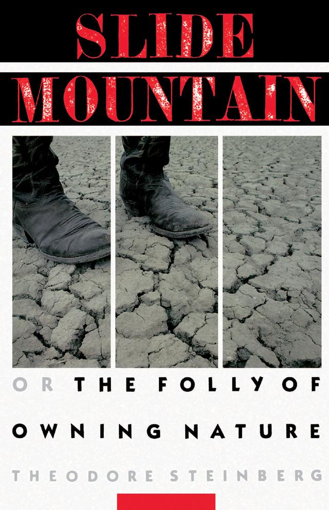 Slide Mountain by Theodore Steinberg