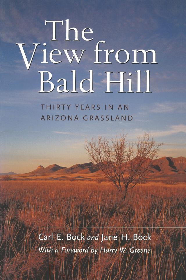The View from Bald Hill by Carl E. Bock, Jane H. Bock