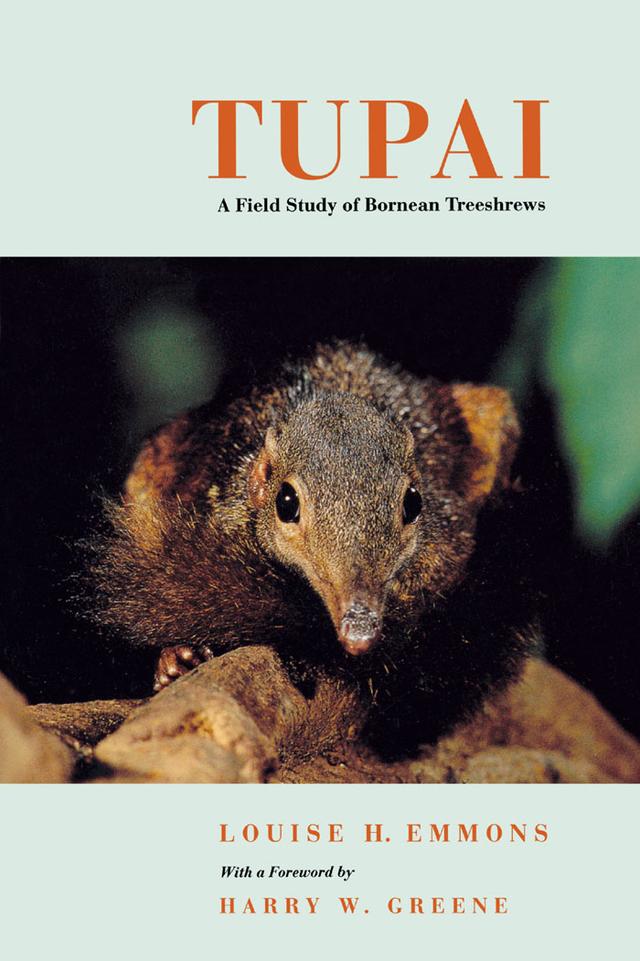 Tupai by Louise H. Emmons
