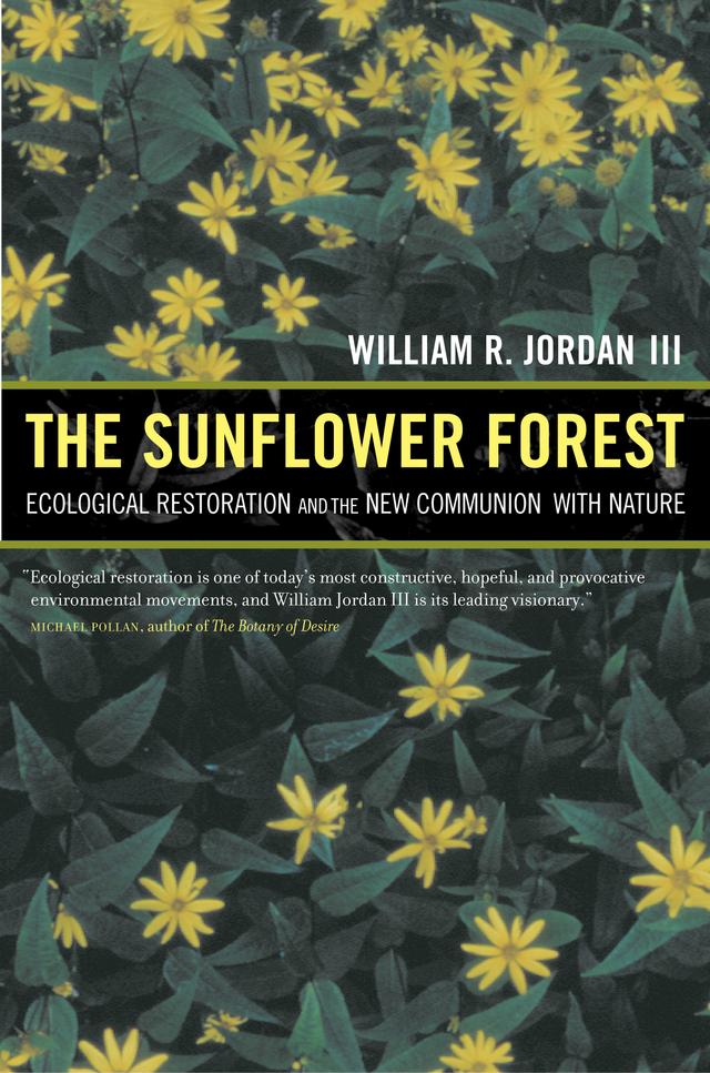 The Sunflower Forest by William R. Jordan