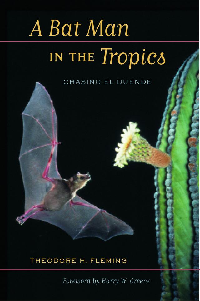 A Bat Man in the Tropics by Theodore Fleming