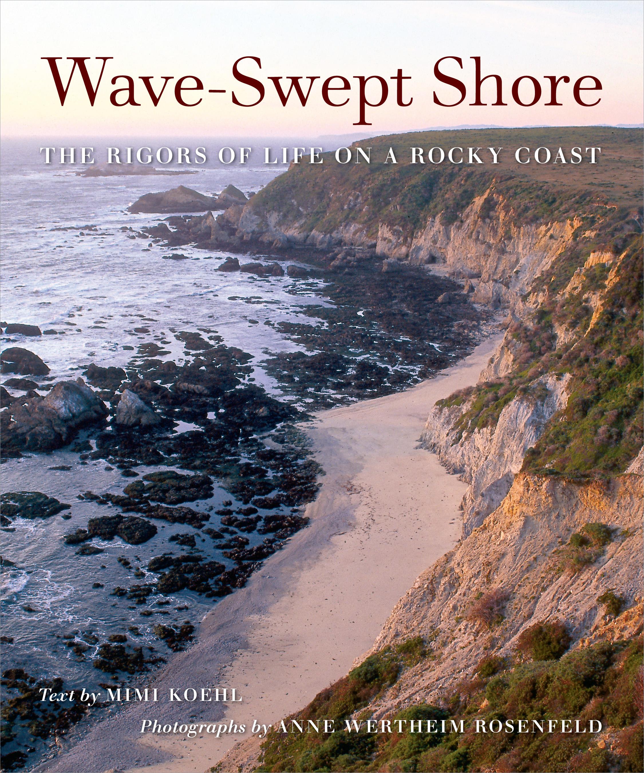 Wave-Swept Shore