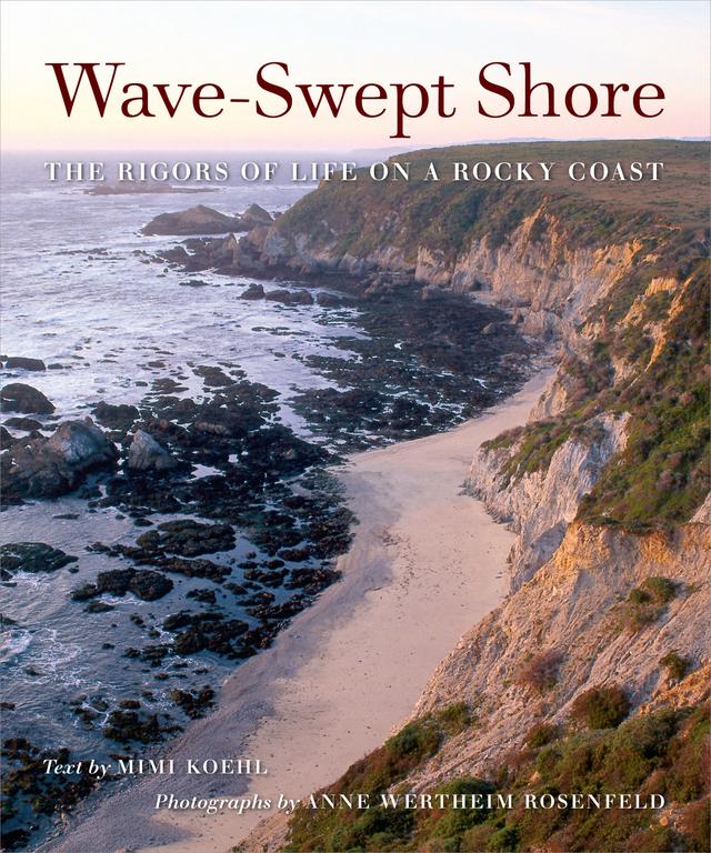 Wave-Swept Shore by Dr. Mimi A. R. Koehl