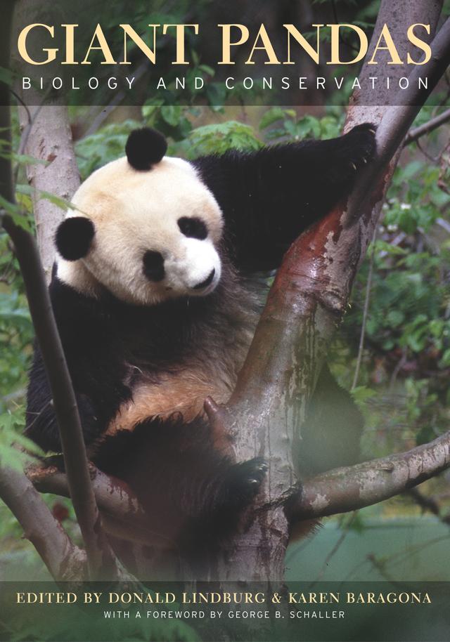 Giant Pandas by Don Lindburg, Karen Baragona